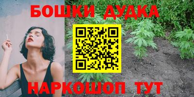 МДПВ Новодвинск