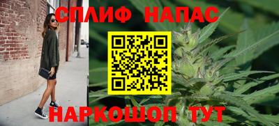 прущие крисы Новозыбков