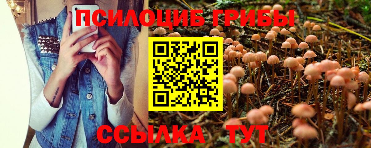 Галлюциногенные грибы GOLDEN TEACHER Шелехов