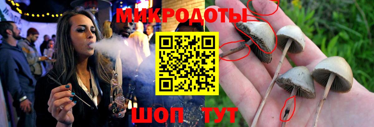 Псилоцибиновые грибы мухоморы  Вход с VPN  Шелехов 