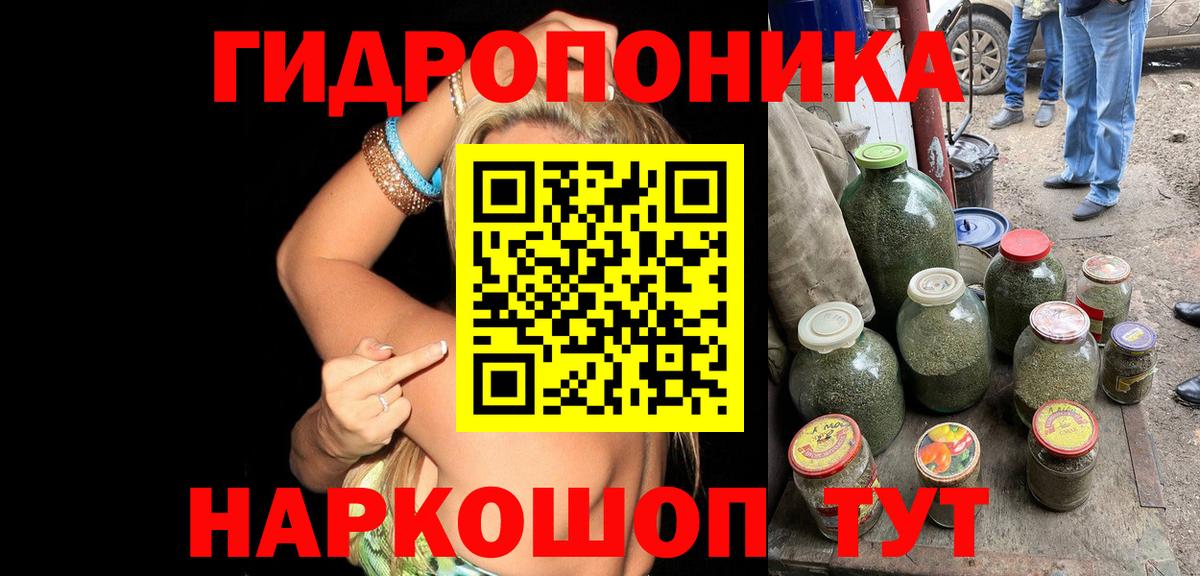 Шелехов  Конопля Amnesia  Бошки марихуана White Widow  Вход с VPN 